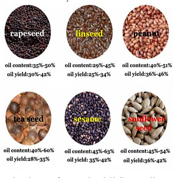 cinnamon oil extract with best price and good quality from YIGONG machinery