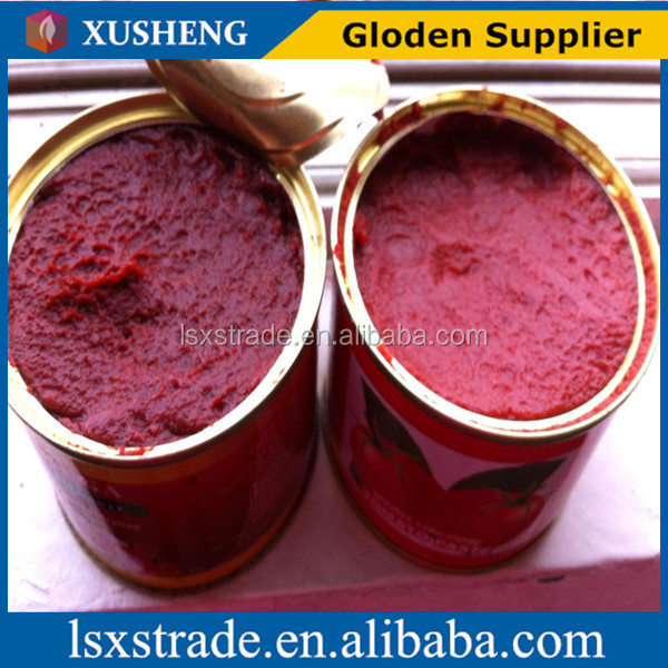 canned tomato ketchup, tomato sauce, tomato paste price and plant (B