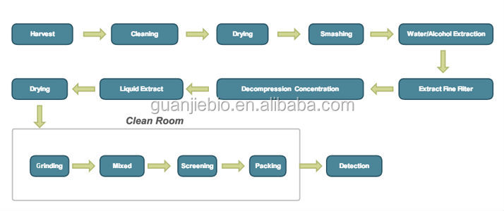 GMP Natural 20% HPLC Cocoa Extract Powder