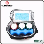 Eshineメーカー直接簡単にキャリープラスチック絶縁ワインクーラーバッグ、ピクニッククーラーバッグ、ビールクーラーバッグ仕入れ・メーカー・工場