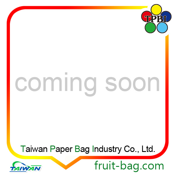 apple company term paper apple company term paper