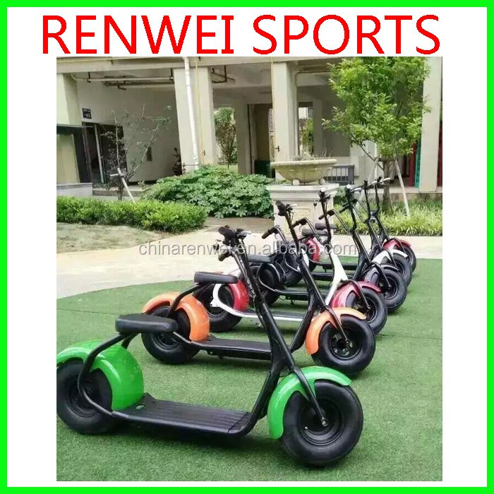 Renwei Electric bike-4.jpg