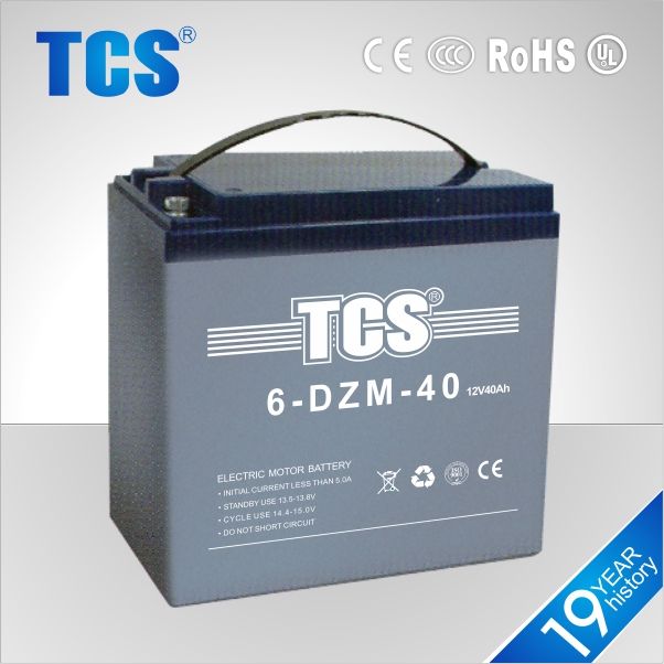 Tcs熱い販売電動バイク6-dzm-206-dzm-106-dzm-12バッテリー問屋・仕入れ・卸・卸売り