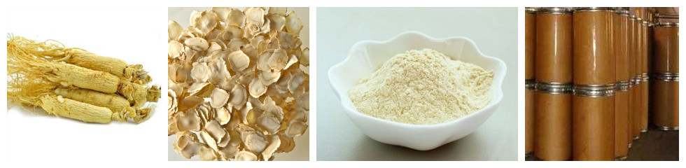 Ginseng Extract/stem and leaf extract 2014/ginseng powder