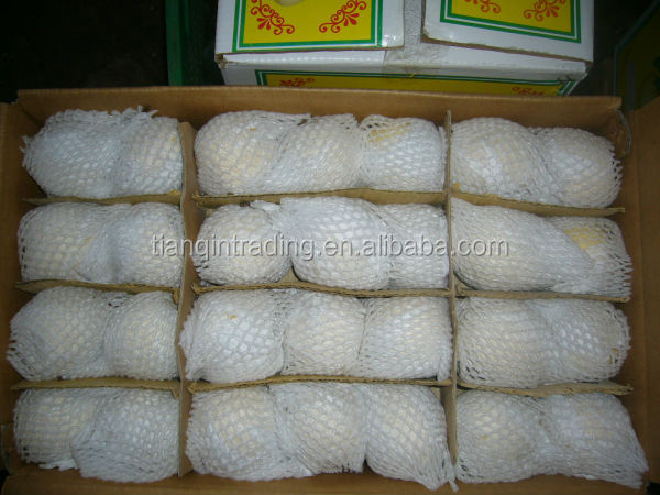fresh ya pear&new crop&the most lowest price
