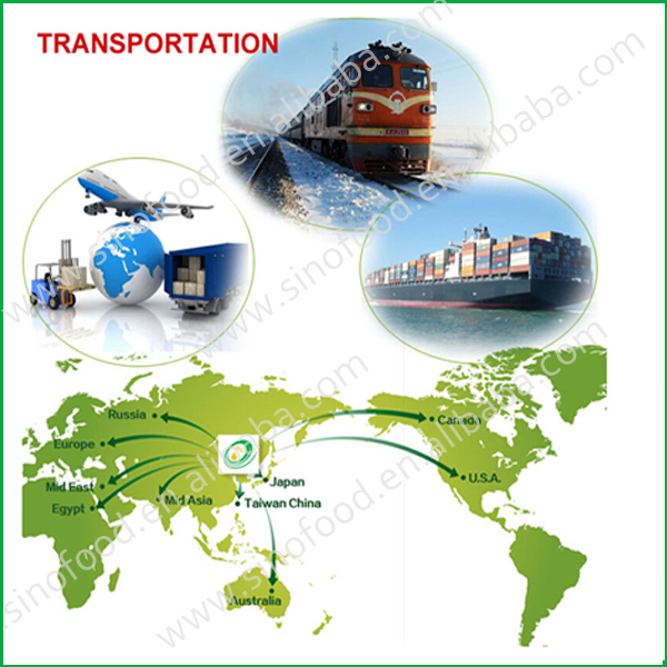 canned virtualvisit in tomato suuce 425 g from China with factory price