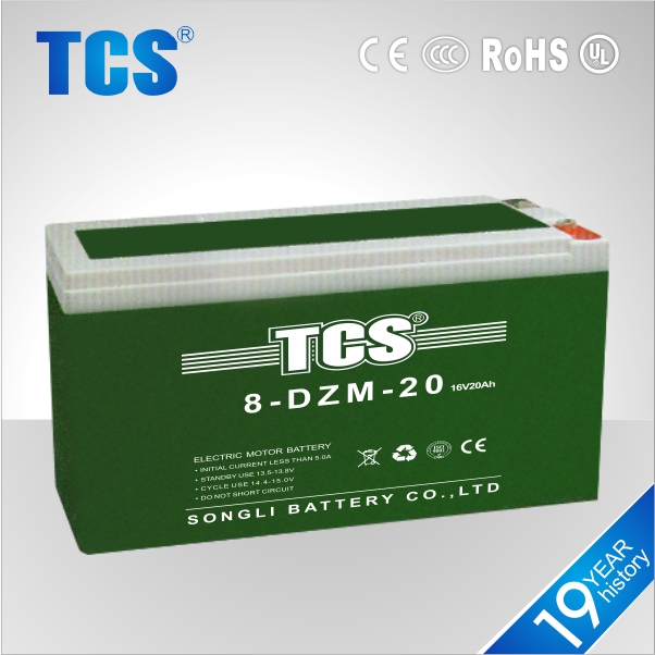 Tcs熱い販売電動バイク6-dzm-206-dzm-106-dzm-12バッテリー問屋・仕入れ・卸・卸売り