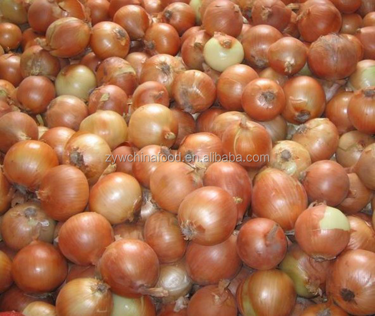 Fresh Onion Hot Sale Onion New Crop Onion Wholesale Onion Prices Onion High quality Onion Exporter