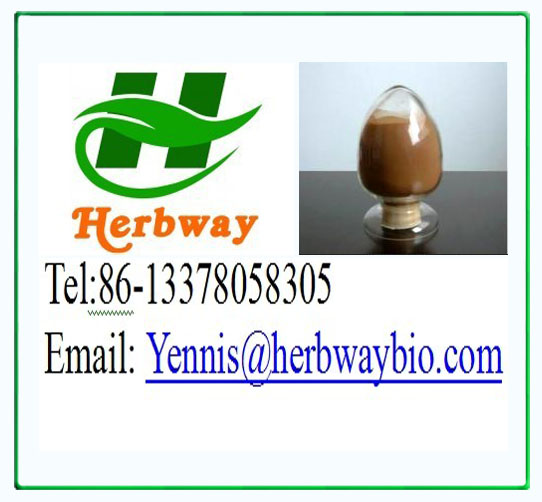 Aloe Vera Extract / Aloe Extract Barbalion