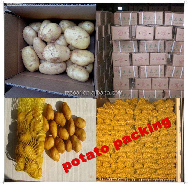potato 7kg carton export to malaysia