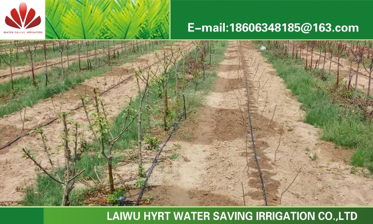 drip irrigation in israel system,Inner flat emitter drip irrigation in israel system 13