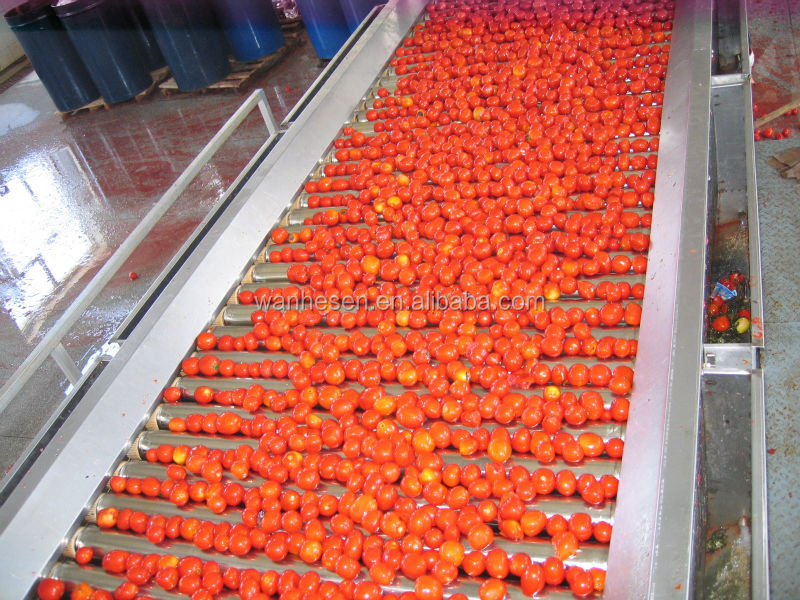Tomato Paste/ Ketchup canned food
