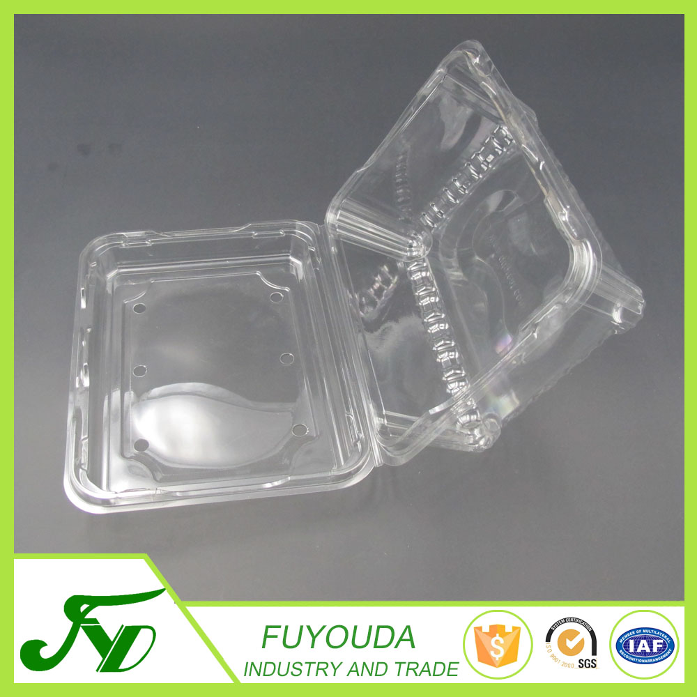 長方形の透明なプラスチック製のフルーツ包装容器仕入れ・メーカー・工場