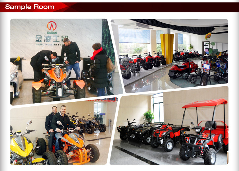 ベスパスクーターnew300cc3輪トライクのバイク仕入れ・メーカー・工場