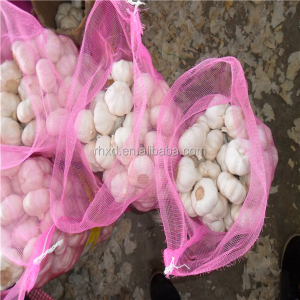 fresh normal white garlic pure white garlic exporter in china