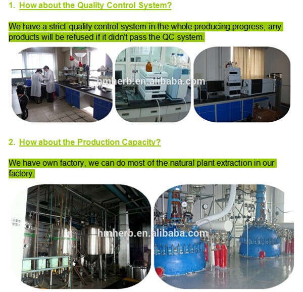 2014 hot sale low price pure ursolic acid 98% rosemary extract ursolic acid