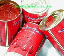 Tomato Paste in tin