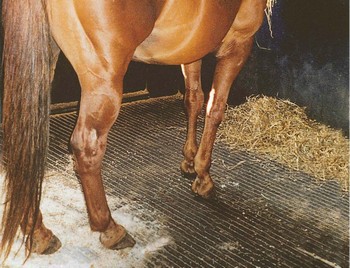 StableMatL.jpg