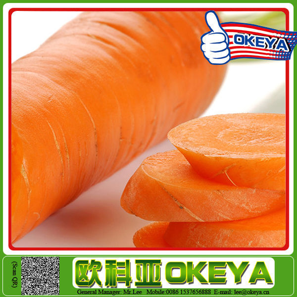 Original Okeye New Arrival carrot brush peeling machine