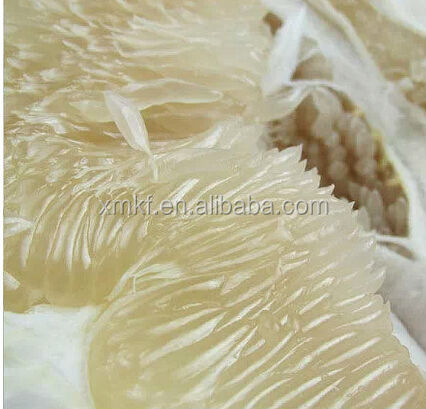 pomelo fruit