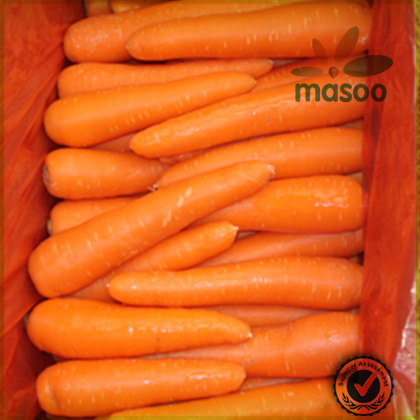 export bulk fresh carrot of 2014 new crop