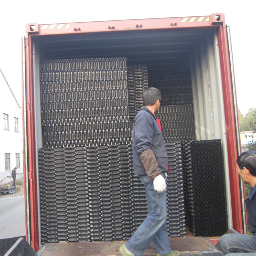 in container.jpg