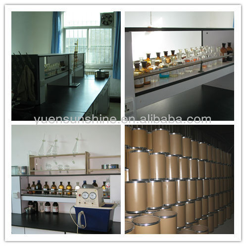 GMP green tea extraction polyphenols powder