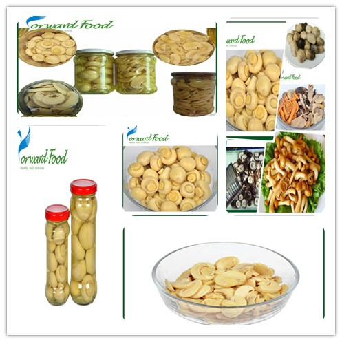 button mushroom price export food