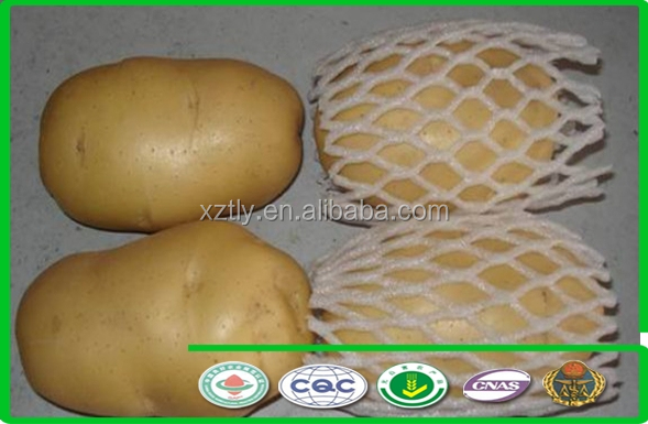 2014 Holland Potato with good quality