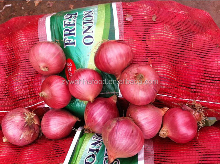 Fresh Red Onion Chinese Bulk Onion Hot Sale