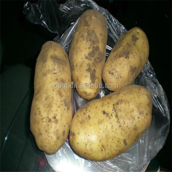 packing mesh bag of fresh potato