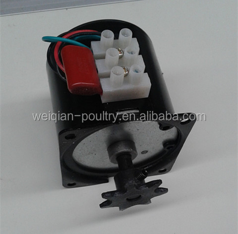 motor with gear (7).jpg