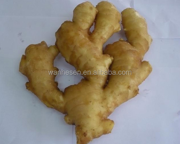 2014 High Quality New Crop Fresh ginger export For UK,CANADA,USA and EU Market 1kg fresh ginger pric