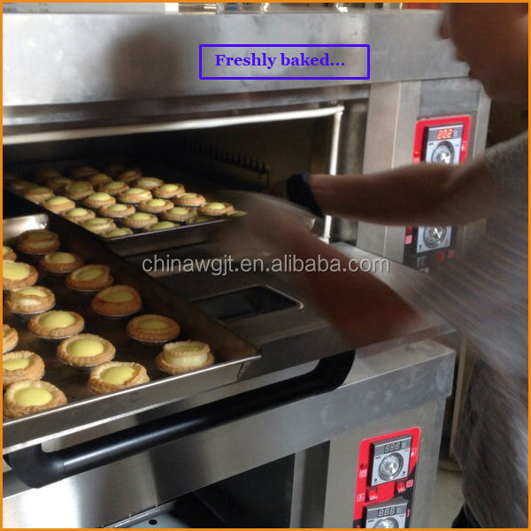 CE Approved VIGEVR automatic pizza oven