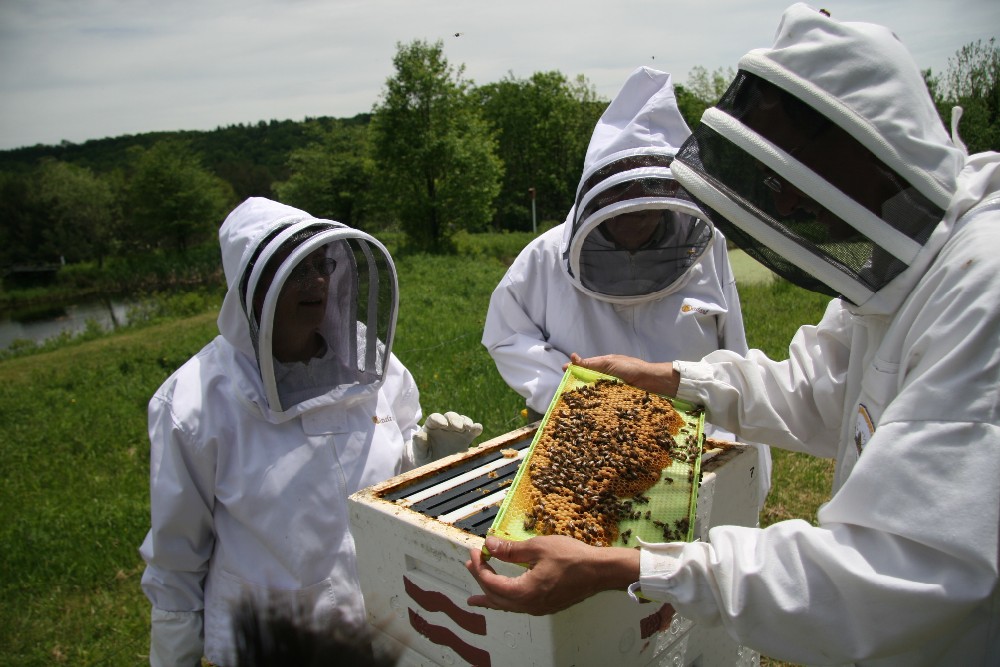 beekeeping suit 1