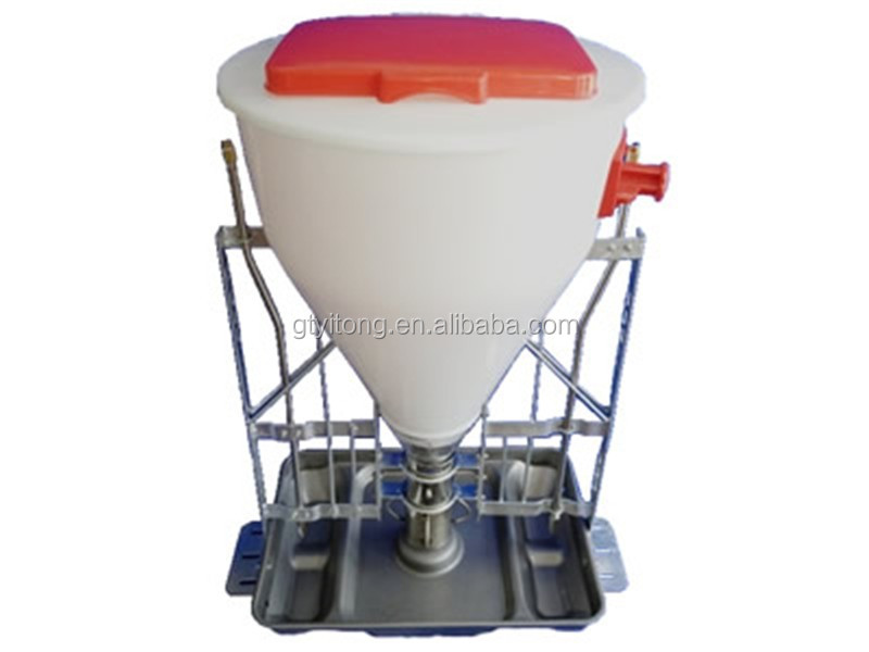 automatic pig feeder for sale
