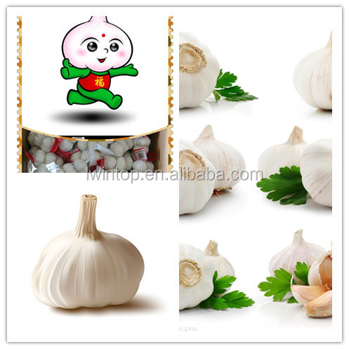 crop 2014 market prices fresh natural garlic price