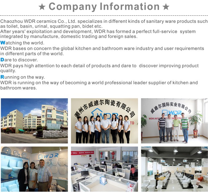 polyresinのバスルームで行われた中国透明なデザインの便座カバー仕入れ・メーカー・工場