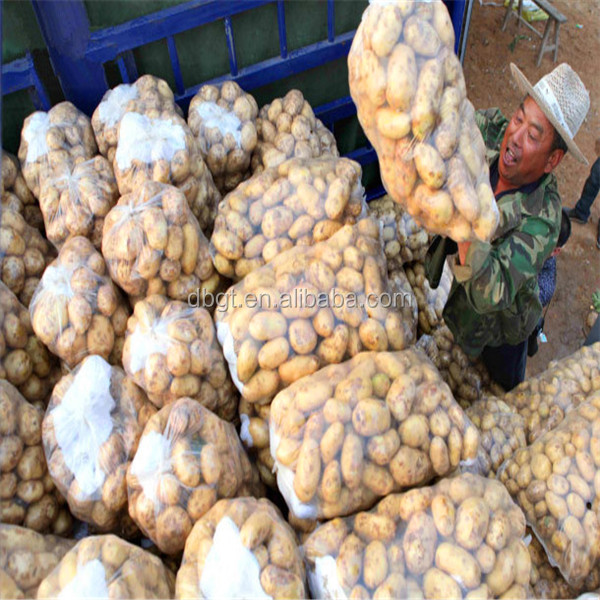 seed potato suitable for all kinds of soil