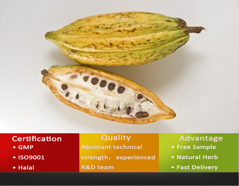 Cocoa Powder/Cocoa Powder Price/Cocoa Powder Bulk