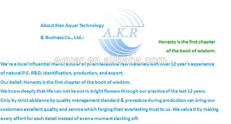 company introduce