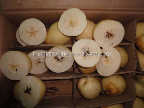 fresh ya pear&new crop&the most lowest price