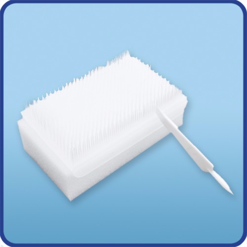 Medical Brush For Hospital Use Disposable Medical Surgical Scrub Brush Buy Surgical Scrub
