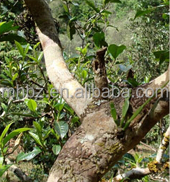 Banzhangwang ZIRUI Brand Pu-erh raw tea
