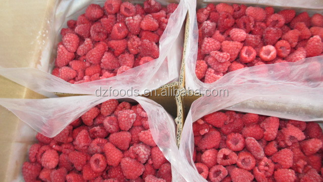 raspberry seed extract