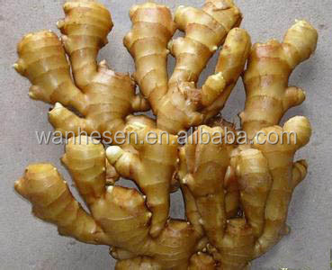 2014 High Quality New Crop Fresh Ginger,ginger root For UK,CANADA,USA and EU Market, market prices for ginger