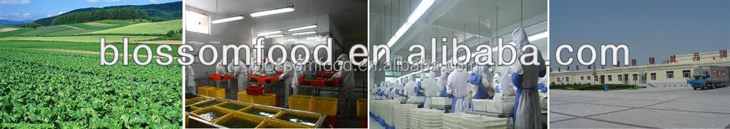 IQF double spore frozen champignons export mushroom