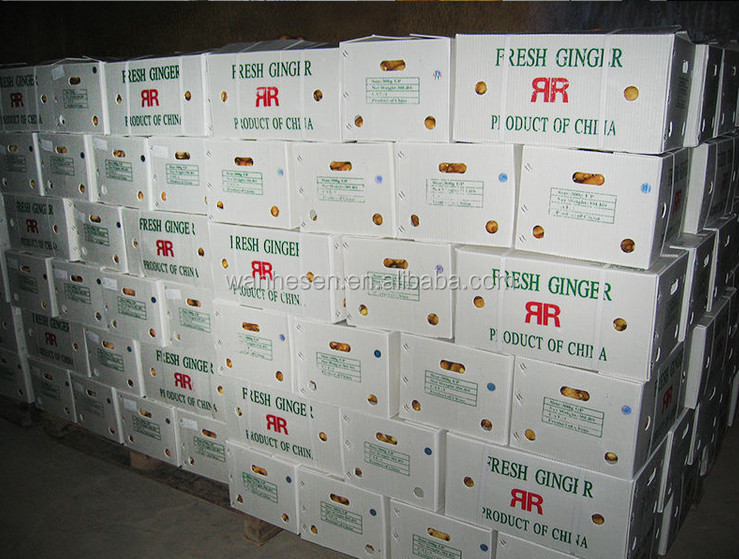 2014 High Quality New Crop Fresh ginger export For UK,CANADA,USA and EU Market 1kg fresh ginger pric
