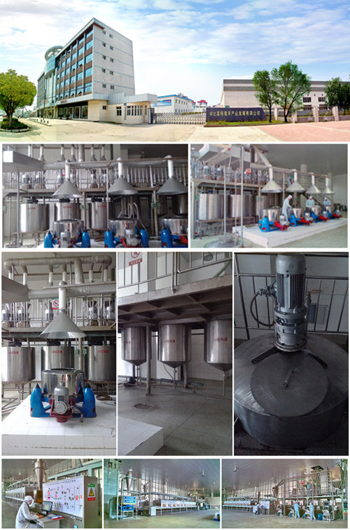 wholesale factory price of konjac noodles in knots