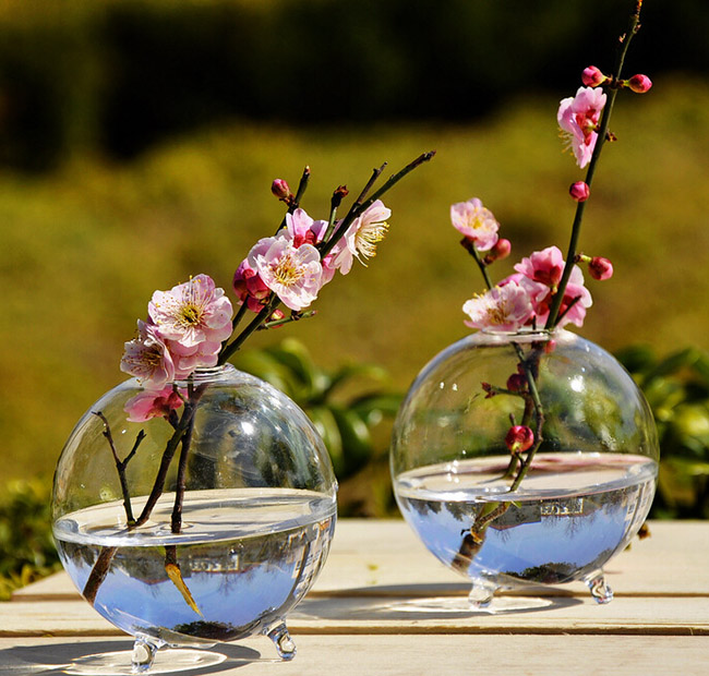 創造的な水耕ガラスの花の花瓶の花のコンテナ仕入れ・メーカー・工場